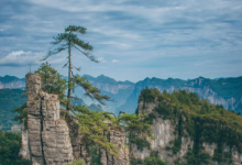 第一家抄迪士尼作业的5A景区,被骂惨了-程序员中文网