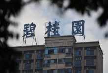 碧桂园业绩出炉,债务重组近了?-程序员中文网