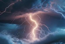 日产汽车遭“清仓式”抛售-程序员中文网