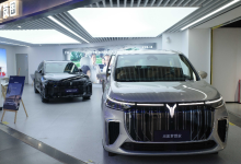 岚图高管:新能源汽车业内卷,行业利润率仅5%左右-程序员中文网