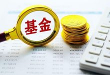 中东主权财富基金这一轮如何调仓?仓位最重的基金持仓已近90亿-程序员中文网