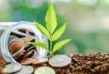 财政部：1—7月国有土地使用权出让收入16950亿元 同比下降4.6%-程序员中文网