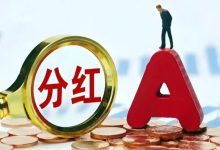 拟每10股派66元，拿7成净利润豪气分红！董事长半年获分红1.4亿-程序员中文网