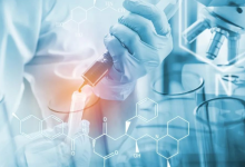 龙头直线涨停,供需压力缓解,5股半年报业绩预计翻倍-程序员中文网