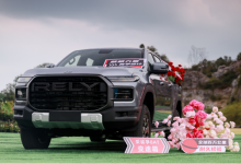 RELY威麟R08上市 8.88万起售-程序员中文网