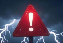 严重财务造假!监管出手,重罚-程序员中文网