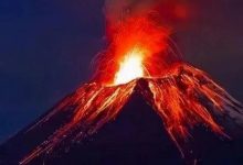 猛涨超30%!301008火了,多家机构调研-程序员中文网