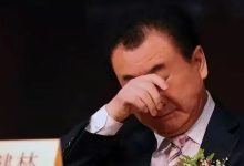 1.86亿，压垮王健林的最后一根稻草？-程序员中文网