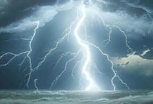 四连板！603398：实控人被立案-程序员中文网