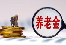 7省份违规发养老金超8000万,含给服刑、死亡人员发养老金-程序员中文网