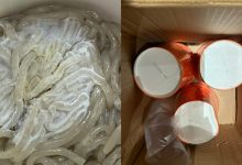 麻六记酸辣粉又发霉?线上销售额同比大跌,号称今年将开300家线下店-程序员中文网