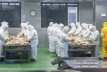 新华社四问预制菜，律师：中央厨房配送的餐食不属于预制菜范畴-程序员中文网