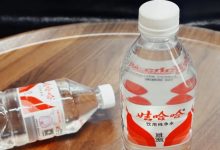 宗馥莉,放弃娃哈哈?-程序员中文网