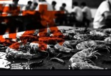 母公司卖顶级和牛，子公司给孩子吃臭虾……-程序员中文网